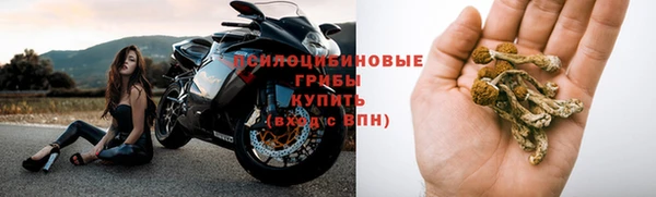 apvp Алексеевка