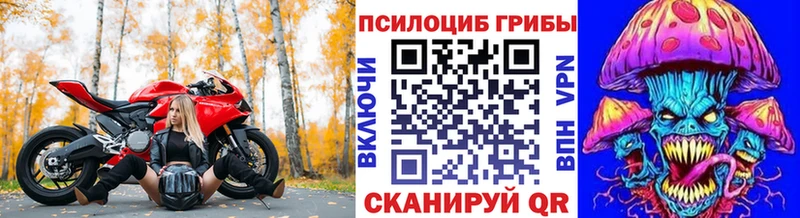 hydra ссылки Лабинск Псилоцибиновые грибы Cubensis